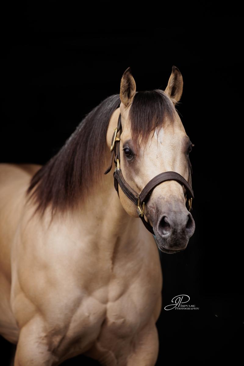 SMOOTH IVORY